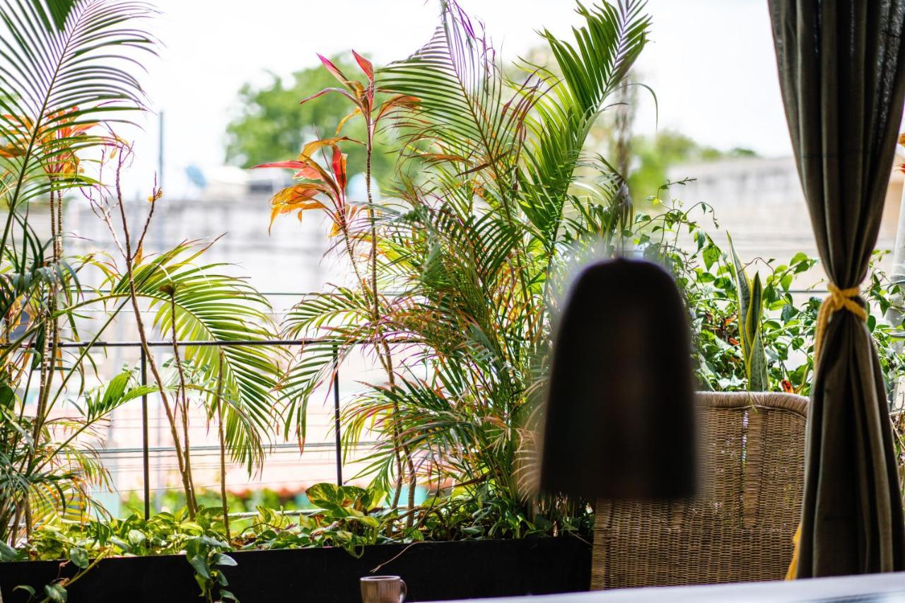 טולום Esmeralda Boutique Hotel & Residences מראה חיצוני תמונה
